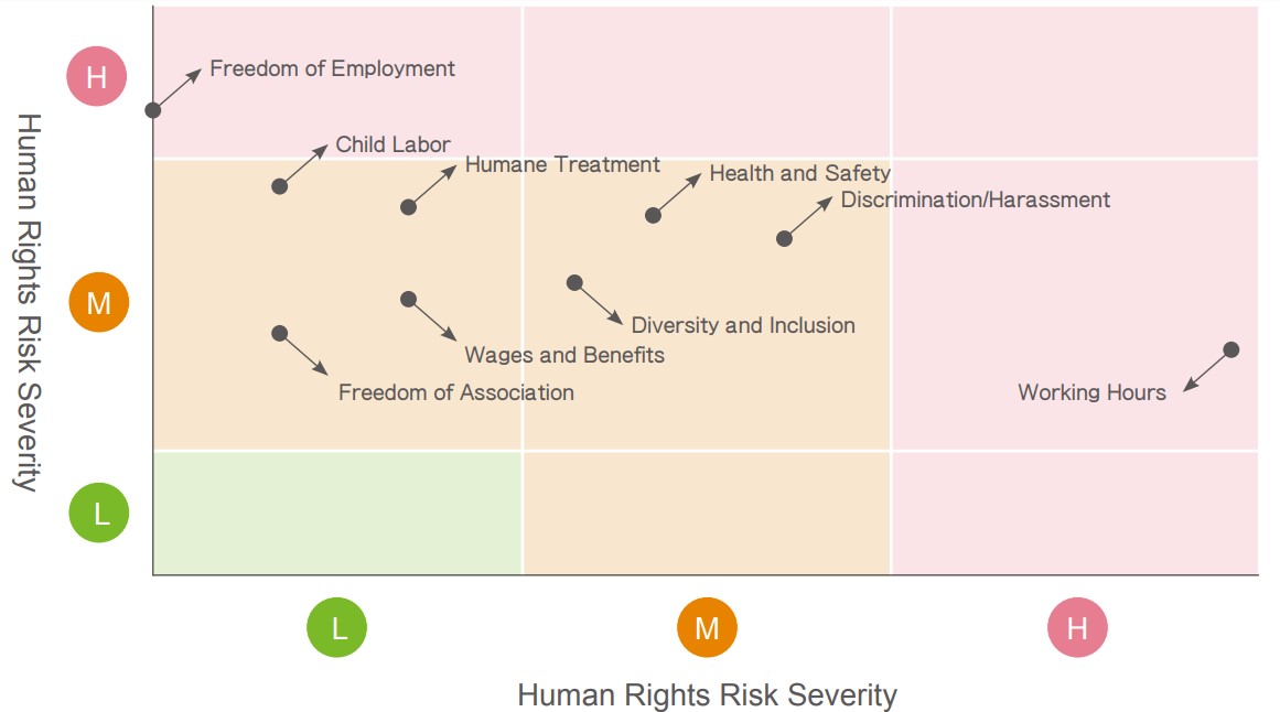 Risk Issue Identification